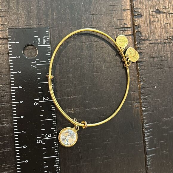 ALEX AND ANI BIRTHSTONE April Crystal CHARM BANGLE GOLD TONE Adjustable - Picture 6 of 6